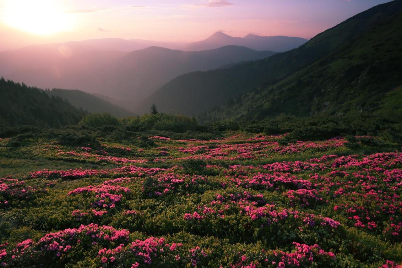 Вилла Huckleberry Ridge Пиджен-Фордж Экстерьер фото
